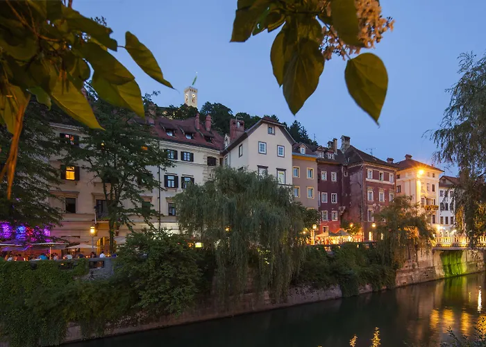 Kollmann And 招待所