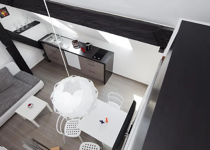 Kollmann And 류블랴나