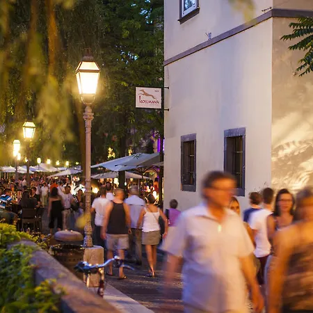 招待所 Kollmann And 卢布尔雅那