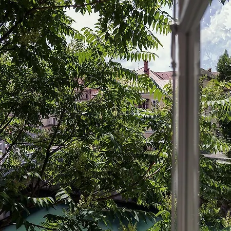 招待所 Kollmann And 3*